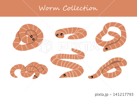 Worm collection. Worm in different poses 141217793
