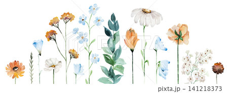 Watercolor border with blue, ivory and orange wildflowers, illustration for wedding stationery Watercolor border with blue, ivory and orange wildflowers, illustration for wedding stationery 141218373