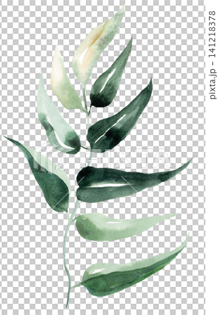 Hand drawn watercolor twig with green leaves, botanical greenery isolated illustration, single element Hand drawn watercolor twig with green leaves, botanical greenery isolated illustration, single element 141218378
