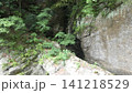 岩壁に掘られた岩と新緑 岩壁に掘られた岩と新緑 141218529