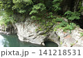 渓谷の新緑と美しい川 渓谷の新緑と美しい川 141218531