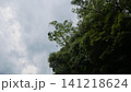 雲の隙間から見える空と鳥 雲の隙間から見える空と鳥 141218624
