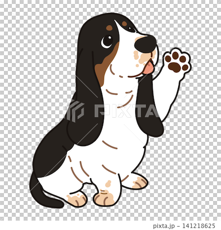 A simple and cute illustration of a tricolor Basset Hound waving its hand, with outlines. A simple and cute illustration of a tricolor Basset Hound waving its hand, with outlines. 141218625