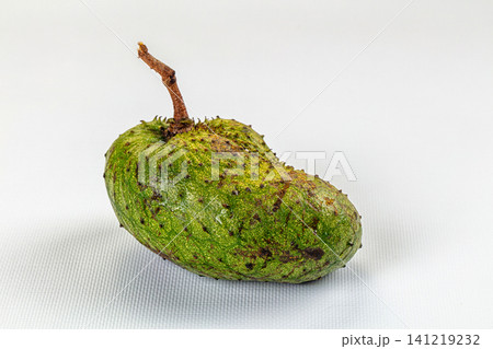 Green soursop fruit with spiky texture on white background Green soursop fruit with spiky texture on white background 141219232