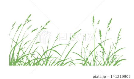 Grass green silhouette vector isolated on white background nature design illustration of grass plant pattern greenery artwork Hand drawn. Not AI, vector illustration. Grass green silhouette vector isolated on white background nature design illustration of grass plant pattern greenery artwork Hand drawn. Not AI, vector illustration. 141219905