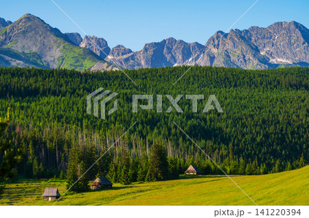 Peaceful nature trail, hiking and summer wilderness background. Poland, Zakopane Peaceful nature trail, hiking and summer wilderness background. Poland, Zakopane 141220394