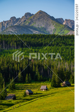 Peaceful nature trail, hiking and summer wilderness background. Poland, Zakopane Peaceful nature trail, hiking and summer wilderness background. Poland, Zakopane 141220397