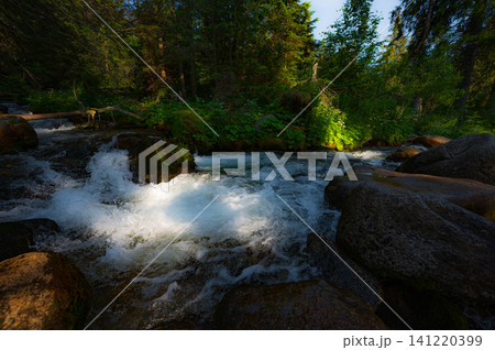 nature scene with mountain river. Zakopane nature scene with mountain river. Zakopane 141220399