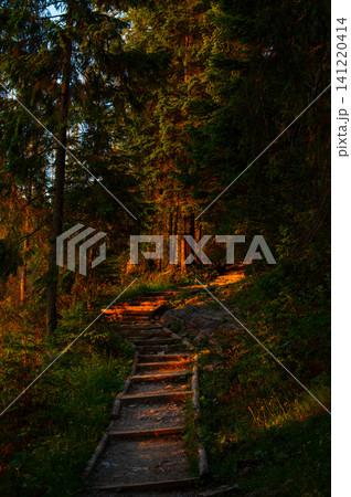 Peaceful nature trail, hiking and summer wilderness background. Poland, Zakopane Peaceful nature trail, hiking and summer wilderness background. Poland, Zakopane 141220414