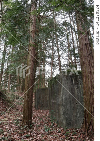 2025年・香川・観音寺・大野原・風景・豊稔池堰堤・其の五十三 2025年・香川・観音寺・大野原・風景・豊稔池堰堤・其の五十三 141220524