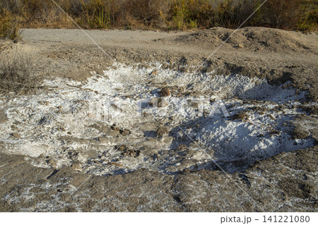 A dried hollow in the ground is covered with white mineral salt crystals. The scene shows the barren land of Santa Pola under bright sunlight. A dried hollow in the ground is covered with white mineral salt crystals. The scene shows the barren land of Santa Pola under bright sunlight. 141221080
