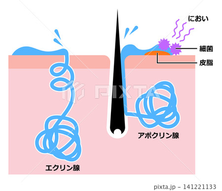 汗の種類 141221133