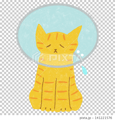 A sad-looking tabby cat wearing an Elizabethan collar. A sad-looking tabby cat wearing an Elizabethan collar. 141221576