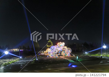 広島県庄原市国営備北丘陵公園のイルミネーション 広島県庄原市国営備北丘陵公園のイルミネーション 141221794