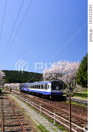 桜満開ののと鉄道西岸駅 桜満開ののと鉄道西岸駅 141221831