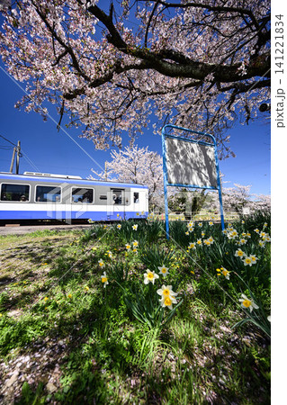 桜満開ののと鉄道西岸駅 141221834