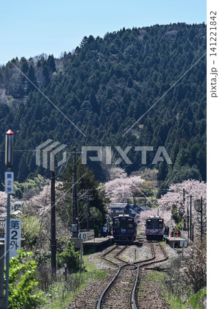 桜満開ののと鉄道西岸駅 141221842