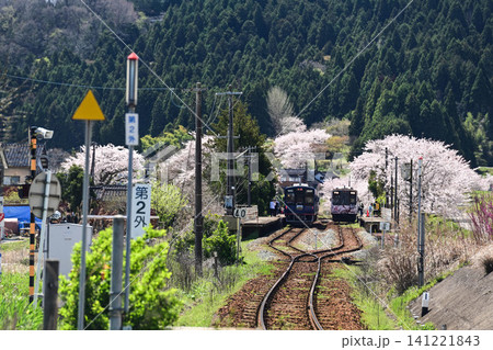 桜満開ののと鉄道西岸駅 141221843
