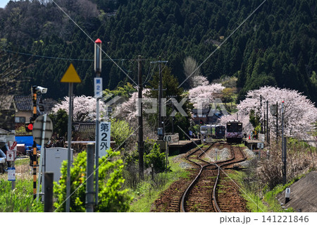 桜満開ののと鉄道西岸駅 141221846