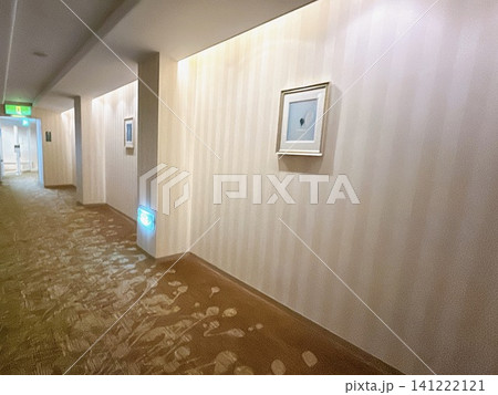 ホテルの静かな廊下と壁の絵画 ホテルの静かな廊下と壁の絵画 141222121