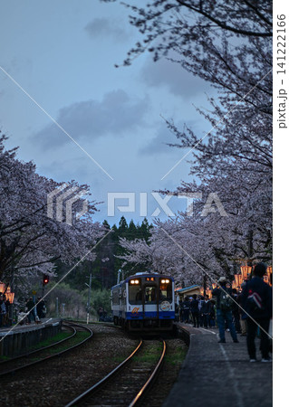 桜満開ののと鉄道さくら駅 141222166