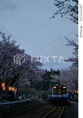 桜満開ののと鉄道さくら駅 141222167