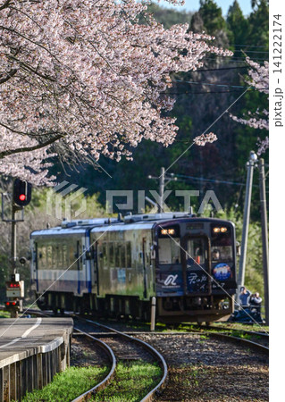 桜満開ののと鉄道さくら駅 桜満開ののと鉄道さくら駅 141222174
