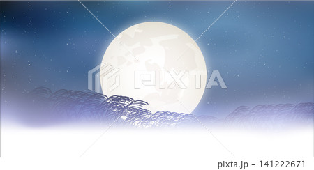 夜空に浮かぶ満月とススキの風景 夜空に浮かぶ満月とススキの風景 141222671