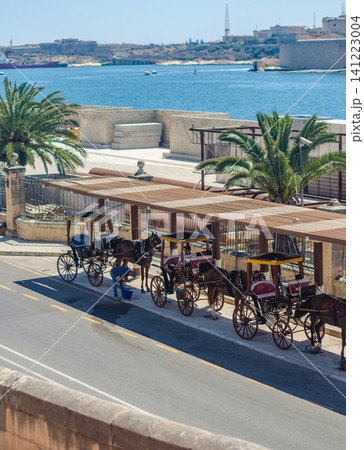 Traditional Maltese karrozzin horse drawn carriages waiting under shade by the harbour with palm trees and sea view in Malta on a sunny day. High quality photo Traditional Maltese karrozzin horse drawn carriages waiting under shade by the harbour with palm trees and sea view in Malta on a sunny day. High quality photo 141223004