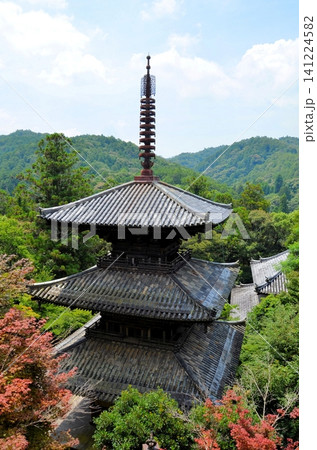 一乗寺 三重塔 一乗寺 三重塔 141224582