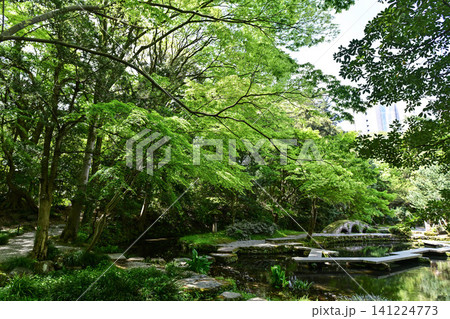 尾山神社の春 尾山神社の春 141224773