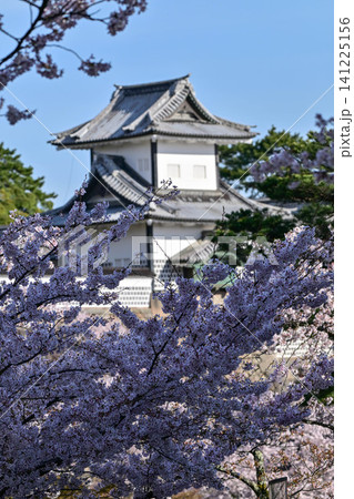 桜満開の金沢城公園 桜満開の金沢城公園 141225156