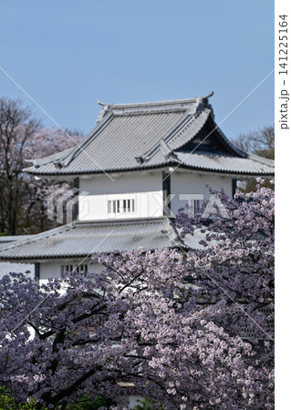 桜満開の金沢城公園 桜満開の金沢城公園 141225164