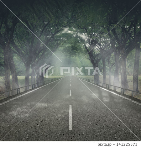 A scenic empty asphalt road leading into a mysterious misty forest with sunbeams filtering through the tree canopy. Halloween background 141225373