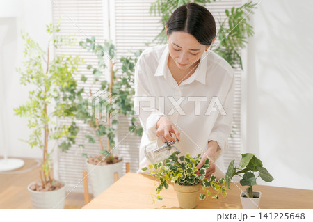 観葉植物を持つ女性 観葉植物を持つ女性 141225648