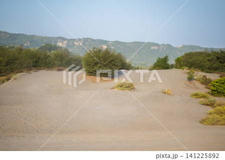 A scenic view of rolling sand dunes dotted with green bushes, set against a background of lush hills and a clear sky 141225892