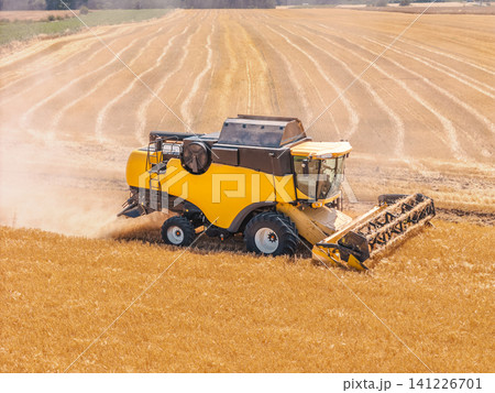 Yellow combine harvester working in golden wheat field during harvest season 141226701