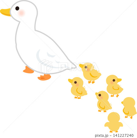 アヒルの親の後をついて歩くヒナ鳥 アヒルの親の後をついて歩くヒナ鳥 141227240