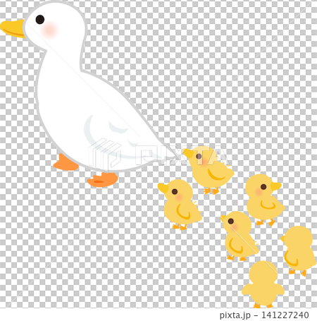 アヒルの親の後をついて歩くヒナ鳥 アヒルの親の後をついて歩くヒナ鳥 141227240