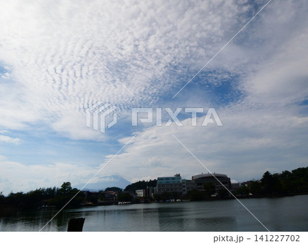 波状雲(鯖雲}が広がったら段々雨に 波状雲(鯖雲}が広がったら段々雨に 141227702
