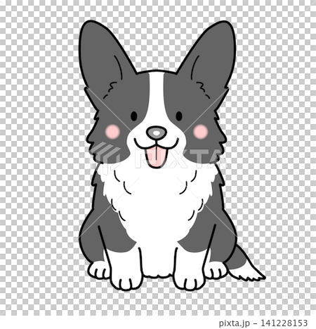 柯基犬（穿著開襟衫）（全身像）向量圖 141228153