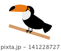 オニオオハシのイラスト 141228727