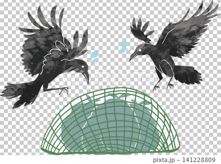 防鳥ネットでゴミを荒らせず困るカラスのイラスト（ゴミ出しマナー・カラスよけ対策） 141228809