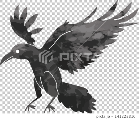 手繪風格的烏鴉（害鳥）插圖（拍打翅膀、翻找垃圾、鳴叫和害蟲防治措施） 141228810