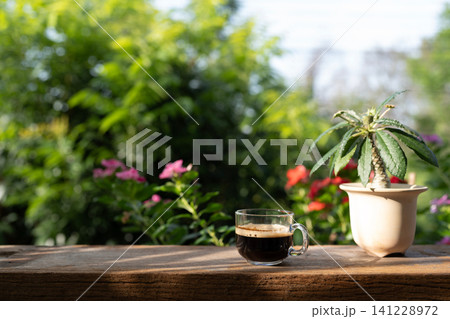 Coffee glass cup and Dorstenia foetida plant on old wooden table under sunlight, garden outdoor Coffee glass cup and Dorstenia foetida plant on old wooden table under sunlight, garden outdoor 141228972