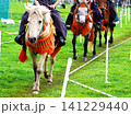 伝統行事の大イベント　流鏑馬 141229440
