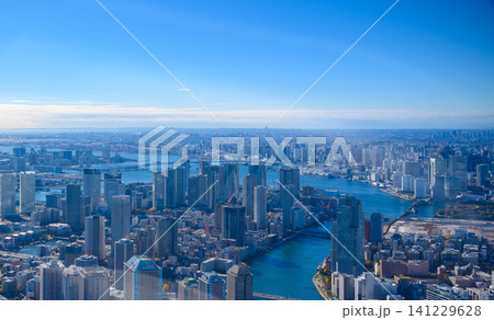 高層ビルが立ち並ぶ都市の空撮 高層ビルが立ち並ぶ都市の空撮 141229628