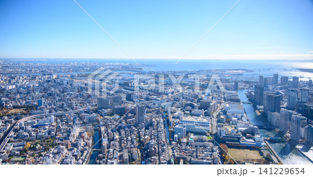 上空から見た都市の風景 上空から見た都市の風景 141229654