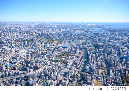 上空から見た都市の風景 上空から見た都市の風景 141229656