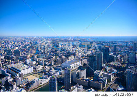 上空から見た都市の風景 上空から見た都市の風景 141229657